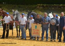 MEJOR CRIADOR, YEGUADA LAS MORERIAS. RECOGE HECTOR GARCIA JUNTO A TODO SU EQUIPO